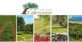 Calemone