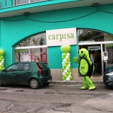 Carpisa