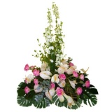 Florisia di Antonio Di Seclì