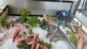 Holiday Osteria di mare