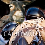 Il vecchio casale