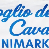 Minimarket Scoglio del Cavallo